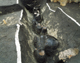 FileNo.138-iko00178.jpg