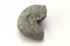 FileNo.138-sto00367.jpg