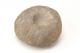 FileNo.138-sto00374.jpg
