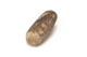 FileNo.138-sto00383.jpg