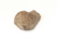 FileNo.138-sto00388.jpg