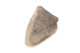 FileNo.138-sto00430.jpg