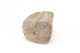 FileNo.138-sto00443.jpg