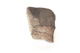 FileNo.138-sto00448.jpg