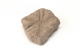 FileNo.138-sto00452.jpg