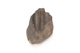 FileNo.138-sto00456.jpg