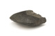 FileNo.138-sto00484.jpg