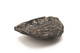 FileNo.138-sto00488.jpg