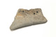 FileNo.138-sto00505.jpg