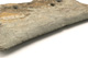 FileNo.138-sto00506.jpg
