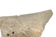 FileNo.138-sto00507.jpg
