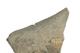 FileNo.138-sto00508.jpg