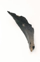 FileNo.138-sto01093.jpg