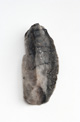FileNo.138-sto01105.jpg