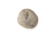 FileNo.138-sto01187.jpg