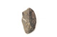 FileNo.138-sto01188.jpg