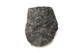 FileNo.138-sto01201.jpg