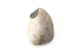 FileNo.138-sto01203.jpg