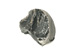 FileNo.138-sto01213.jpg