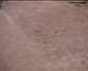FileNo.141-006.jpg