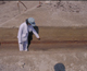 FileNo.141-011.jpg