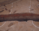 FileNo.141-015.jpg