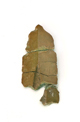 FileNo.141-017.jpg