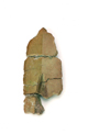 FileNo.141-018.jpg