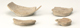 FileNo.141-076.jpg