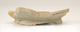 FileNo.141-081.jpg