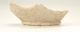 FileNo.141-089.jpg