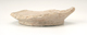 FileNo.141-095.jpg