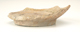 FileNo.141-097.jpg