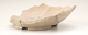 FileNo.141-099.jpg