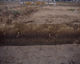 FileNo.145-211.jpg