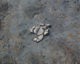 FileNo.145-008.jpg