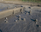FileNo.145-009.jpg