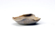 FileNo.145-106.jpg