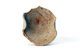 FileNo.145-107.jpg