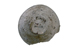 FileNo.145-115.jpg