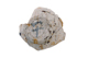 FileNo.145-124.jpg