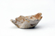FileNo.145-125.jpg