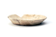 FileNo.145-148.jpg