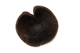 FileNo.145-158.jpg
