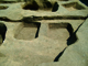 FileNo.146-012.jpg
