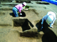 FileNo.146-013.jpg