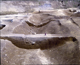 FileNo.146-020.jpg