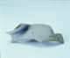 FileNo.146-028.jpg