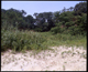 FileNo.152-012.jpg