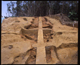 FileNo.152-020.jpg